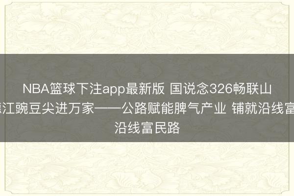 NBA篮球下注app最新版 国说念326畅联山海 德江豌豆尖进万家——公路赋能脾气产业 铺就沿线富民路