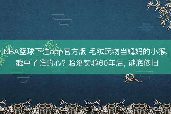 NBA篮球下注app官方版 毛绒玩物当姆妈的小猴, 戳中了谁的心? 哈洛实验60年后, 谜底依旧