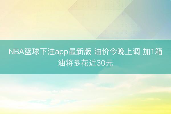 NBA篮球下注app最新版 油价今晚上调 加1箱油将多花近30元